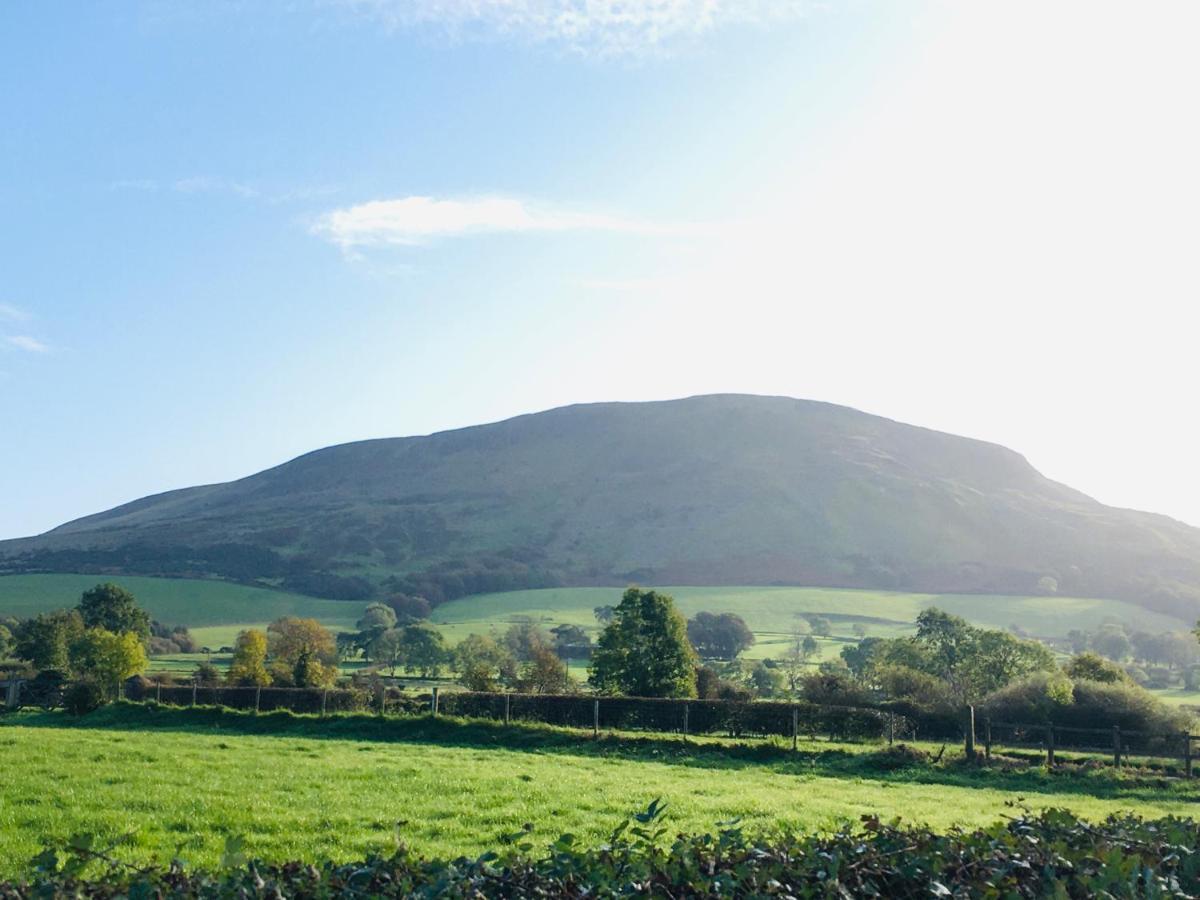 Вилла Benbradagh Barn Dungiven Экстерьер фото